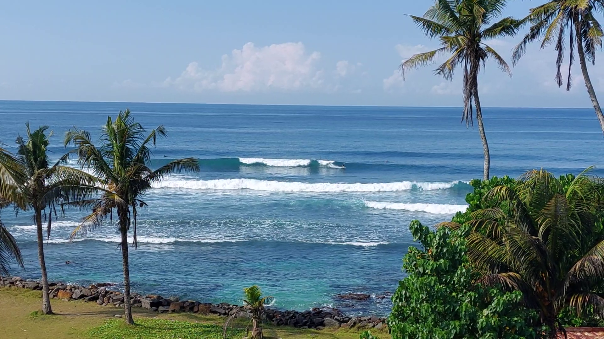 Surf break in Sri Lanka with palm trees